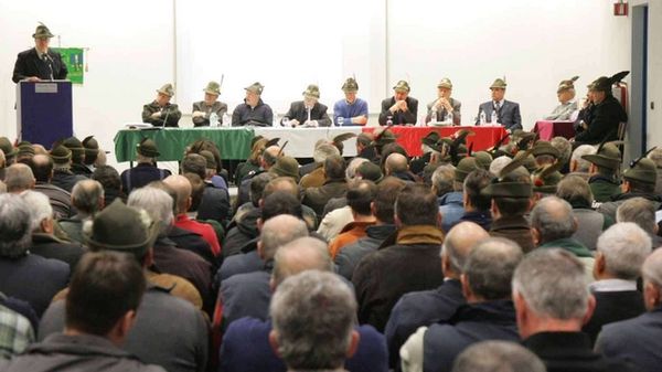 Immagine per None