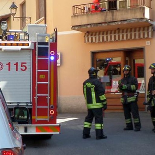 Muore in casa Il cane lo veglia due giorni - Cronaca