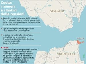 Immagine per None