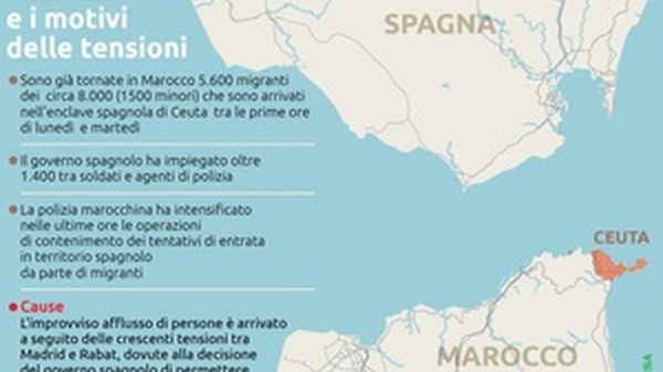 Immagine per None