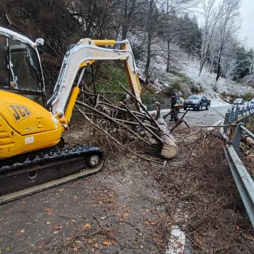 Una pianta è caduta sulla strada per la colma di Sormano