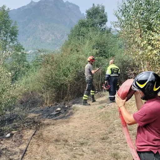 Lanzada, c’è il dolo dietro al rogo nel bosco - Cronaca