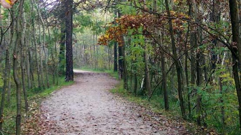 Il parco delle Groane Il parco delle Groane