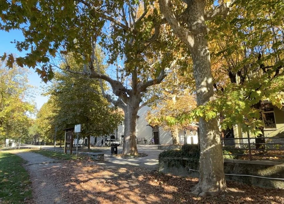 Calolziocorte - I platani in zona Lavello