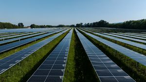 Immagine per 6bdbce7c-d744-11f0-8c2f-fd845c645498