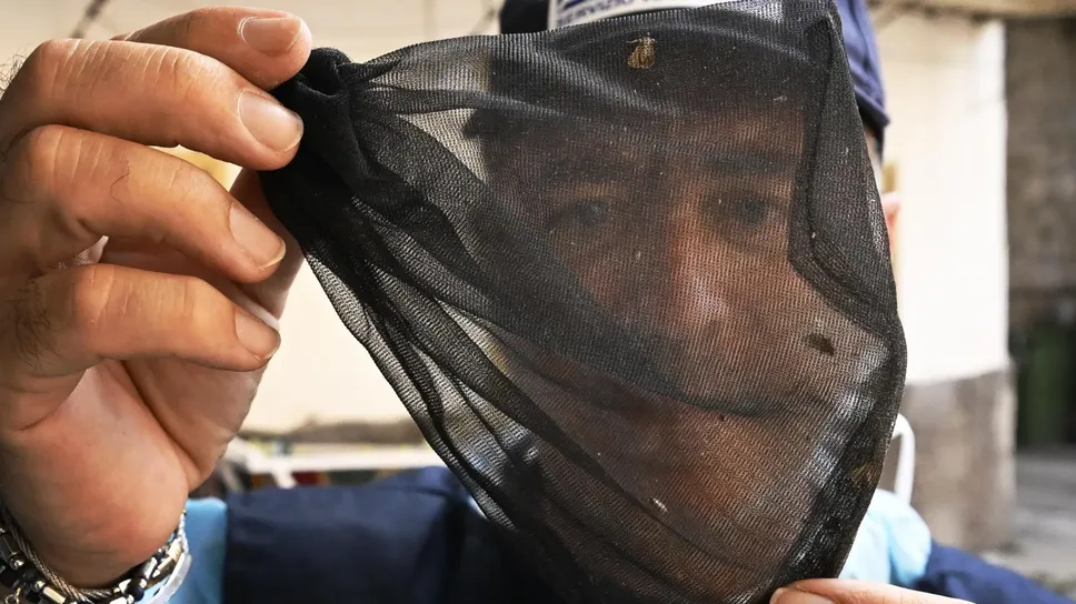 Trappole per le zanzare responsabili del contagio sull’uomo del West Nile Trappole per le zanzare responsabili del contagio sull’uomo del West Nile