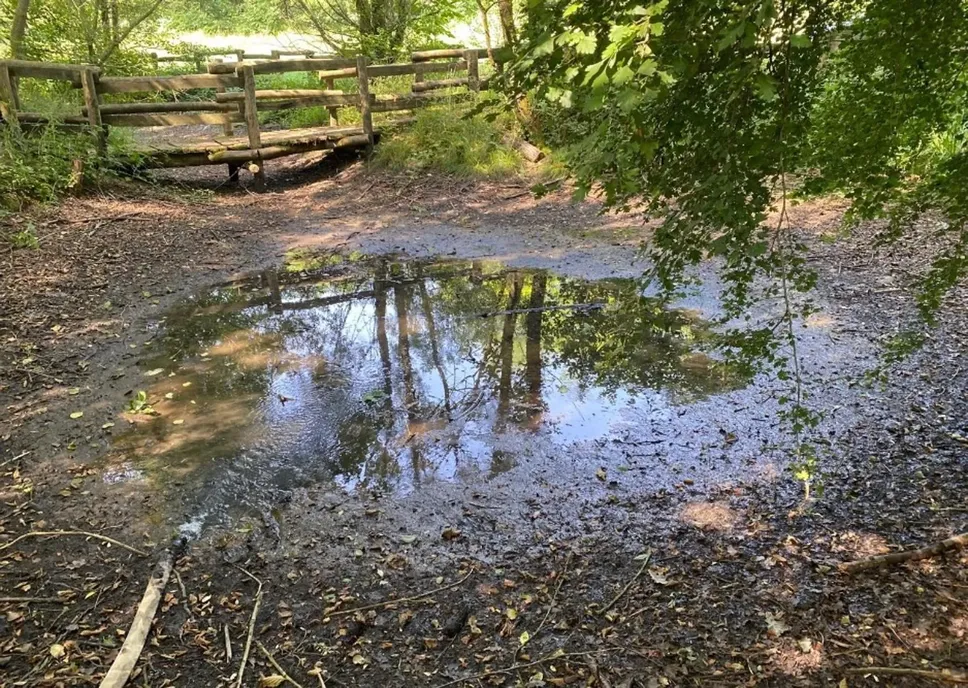 Montevecchia - Stagni interrati nel parco del Curone