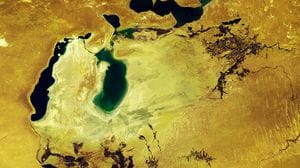 Immagine per 459c3210-f6a2-11f0-8d3e-620ee5e43c82