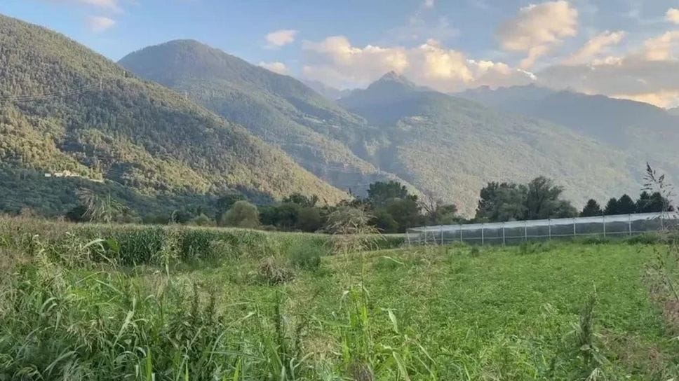 Tangenzialina di Bormio, attacca il PD: «Il Comune non si presenta in audizione, opera da stralciare»