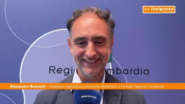Immagine per italpress-OnXL
