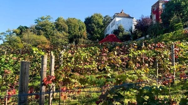 Parigi d’autunno: cosa vedere. Dai vigneti  di Montmartre alle grandi mostre