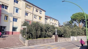 Civate: Ats difende le colonie feline e il benessere dei gatti