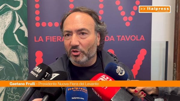 Immagine per italpress-knlX