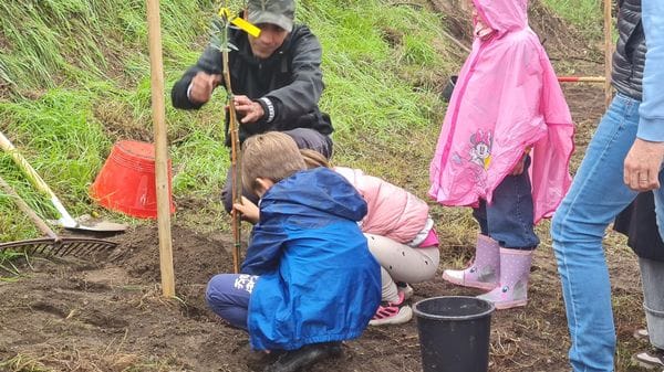 Galbiate, nasce il Parco lineare: venti ulivi per riqualificare il centro e creare inclusione