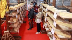 Mostra del Bitto, torna il Palo della cuccagna: a Morbegno tradizione e novità
