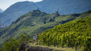 Valtellina Wine Trail, oltre 4.000 runner da 40 Paesi: Sondrio si prepara alla festa