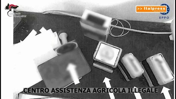 Immagine per italpress-7rBw