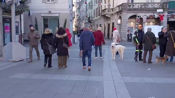 Como e Lecco: tensione per timore di saccheggi e vandalismi