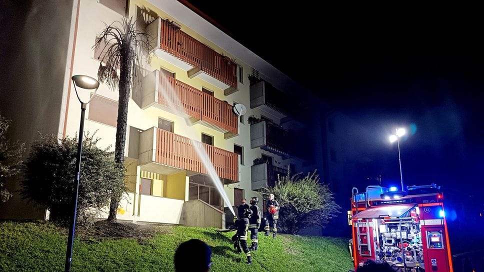 Sondrio, a fuoco una palma alla Piastra: non si esclude il gesto vandalico