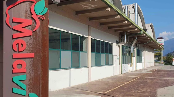 Melavì, la Corte d’appello respinge il reclamo: confermata la liquidazione giudiziale
