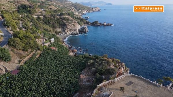 Immagine per italpress-6qEN