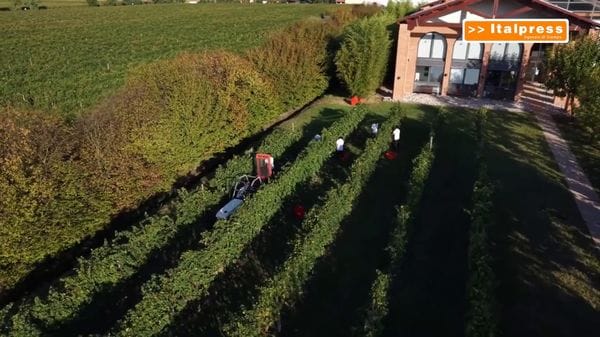 Immagine per italpress-Po6A