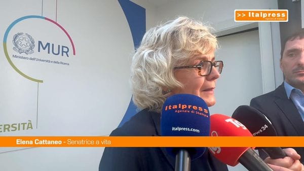 Immagine per italpress-knO6