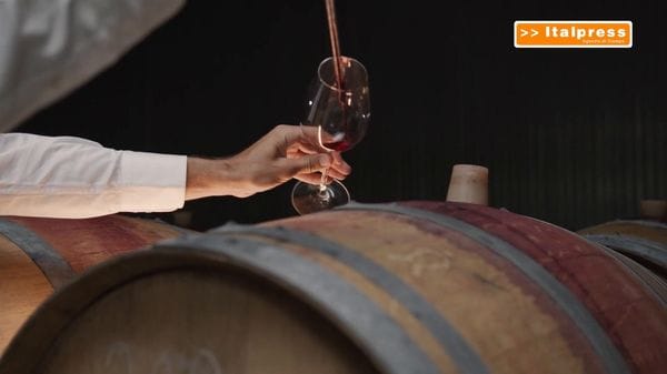 Immagine per italpress-ZBm5
