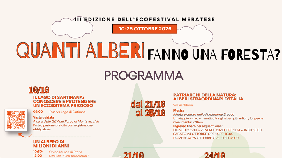 Merate, torna l’Ecofestival. Alberi al centro