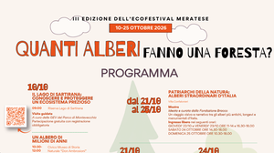 Merate, torna l’Ecofestival. Alberi al centro