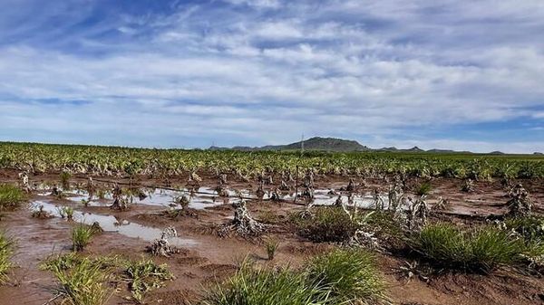 Immagine per ansa-252dfc6f-158e-4bff-92a4-52501dad908b