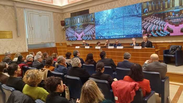 Immagine per 9312c292-029c-11f1-8fae-c0ed71531bd2