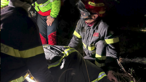 Immagine per e3cf115e-05f3-11f1-b6d1-91896687b6a2