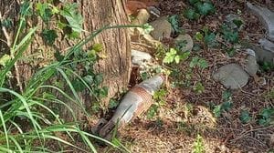 ab3b522a-22eb-11f1-8676-e535d92d5094