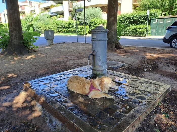 Giornata dell'acqua: Assoutenti, è bene comune e un diritto universale