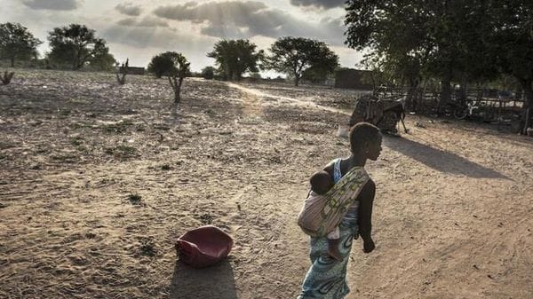 Omm, dal 2015 al 2025 gli 11 anni più caldi mai registrati