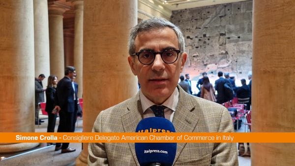 Immagine per italpress-zwo8