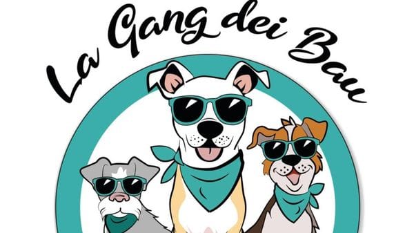 Cani abbandonati, a Casatenovo nasce la «Gang dei Bau»