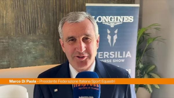 Immagine per italpress-9EP3