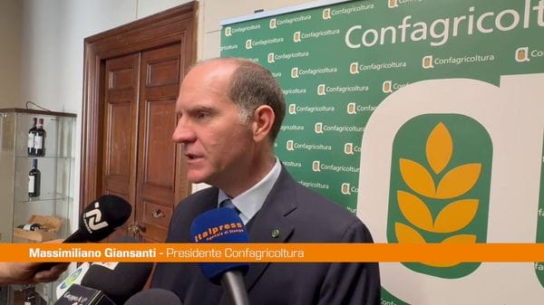 Immagine per italpress-yvxW