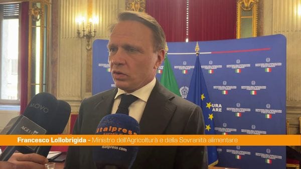 Immagine per italpress-3xXQ