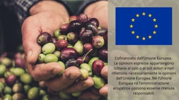 Immagine per ansa-f2a9292c-c6ce-4a11-99a1-6125c871e72e