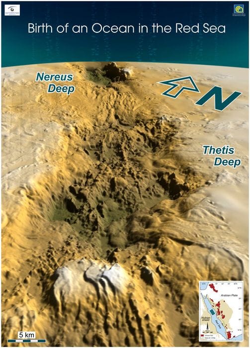 Tra milioni di anni un nuovo oceano dividerà in due l'Africa