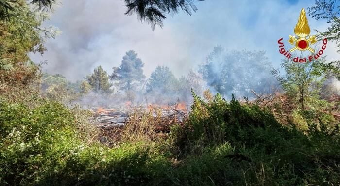 Ue, 'gli incendi boschivi costano quasi 3 miliardi all'anno'