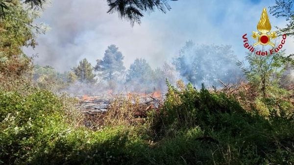 Ue, 'gli incendi boschivi costano quasi 3 miliardi all'anno'