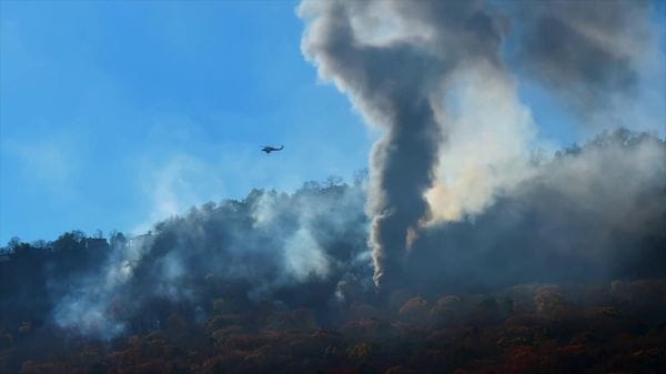 Immagine per italpress-oglz