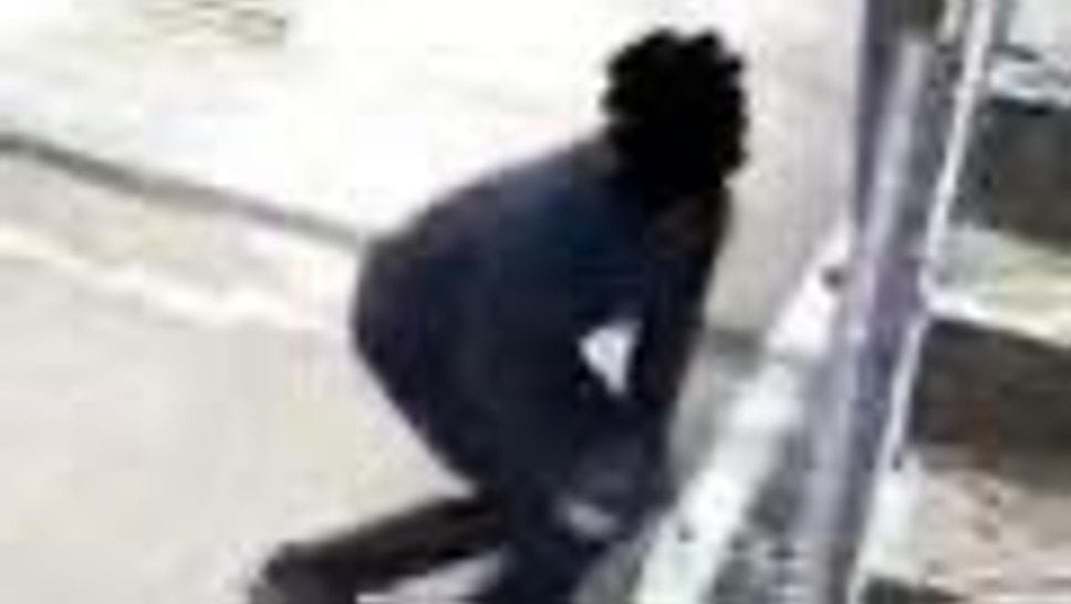 Novate Mezzola, le telecamere smascherano l’autore dei vandalismi