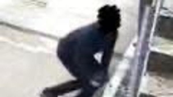 Novate Mezzola, le telecamere smascherano l’autore dei vandalismi