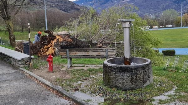 Vento forte: interventi dei vigili del fuoco e disagi