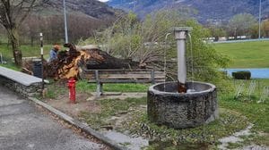 Vento forte: interventi dei vigili del fuoco e disagi